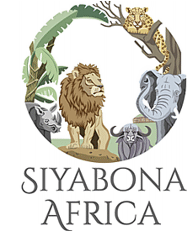 http://cape.hotelguide.co.za